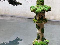 -觀芷隐轩