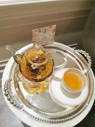 -奥斯芬欧系贵族SPA