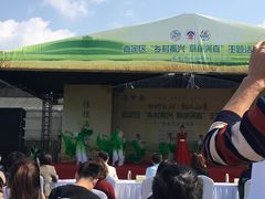 -菊园百果园
