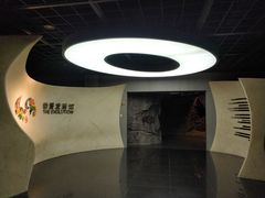 -上海动漫博物馆