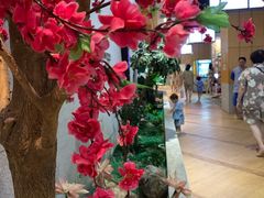 -丽池宫韩式汗蒸会馆(华灯坊店)