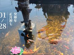 -上海东林寺(金山区)