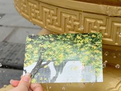 -大明寺素斋