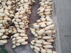 -江杨农产品批发市场