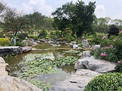 -东莞植物园