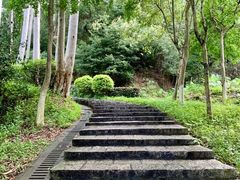 -火炉山森林公园