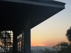 -金鸡山公园