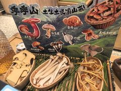 -季季山·云南野生菌火锅(上海首店)