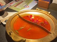 -熊喵来了火锅(太原里第2分店)