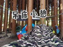 -武陵山森林公园