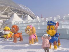 -沈阳奥体冰雪嘉年华