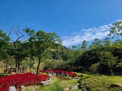 -黄埔油麻山森林公园