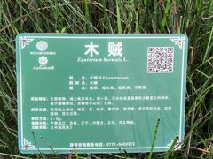 -广西壮族自治区药用植物园