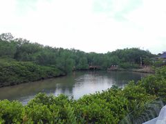 -大亚湾红树林城市湿地公园