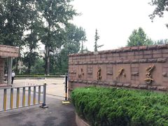 iphone_upload_pic-山东大学(洪家楼校区)