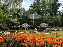 -石家庄市植物园