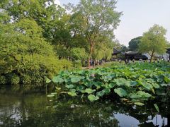 -素满香·素食自助餐(苏州·临顿路店)