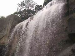 -金鸡山公园