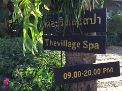 -椰树岛海滩度假村