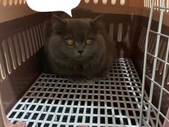 -立德动物医院·24小时中心(番禺区院区)