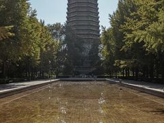 -玲珑塔公园