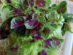 -丁记火锅·酸汤牛肉