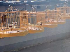 -护国寺小吃(新街口店)