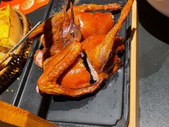 -羽鸽集·乳鸽专门店·地道顺德菜(岭南站店)