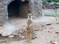 -上海野生动物园