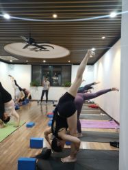 -兴亚瑜伽20年老馆