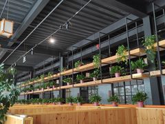 -桃源村铁锅炖鱼(体育馆道店)