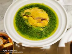 -青雅中餐厅(大连金石滩绿发希尔顿度假酒店)