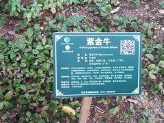 -广西壮族自治区药用植物园