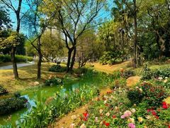 -人民公园(罗湖区)