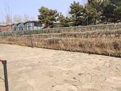 -莫子山公园
