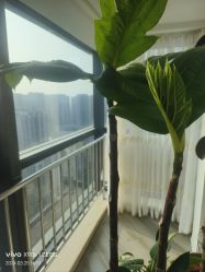 -HEYAN荷妍专业脱毛连锁机构