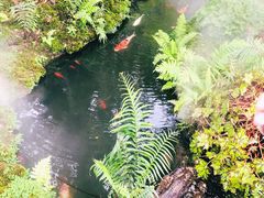 -Chom Cafe and Restaurant