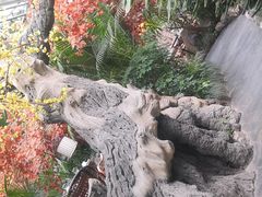 -世外桃源农庄·德清土菜(兴康南路店)