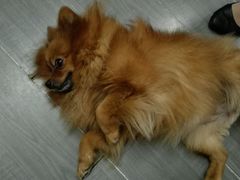 android_upload_pic-A+摄影