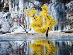 -少华山国家森林公园