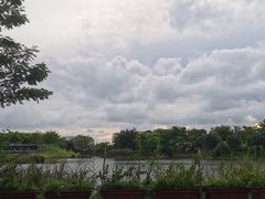 -福田红树林生态公园