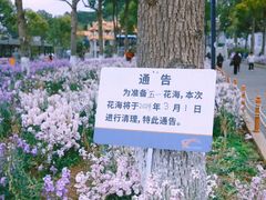 -仙岳公园