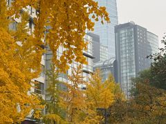 -The place那儿(新城国际店)