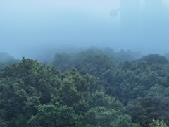 -普陀山风景区-佛顶山