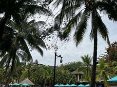 -海南清水湾莱佛士酒店