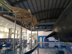 -上海海洋大学鱼文化博物馆(军工路校区)