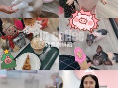 -猪盟咖啡店(玖洲道店)