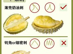 -佳园路(地铁站)