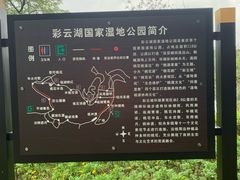 -重庆彩云湖湿地公园