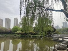 -木塔寺遗址生态公园